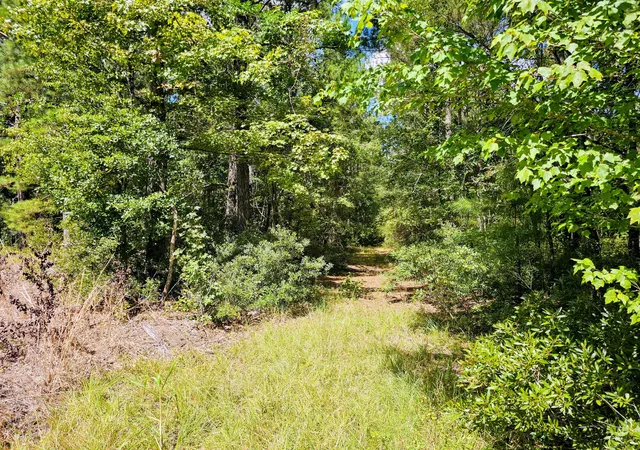 Photo 3 of Land for sale at 0 Mcalhany Rd, Reevesville, SC 29471 | MLS# 26025632 | Listing updated on 2026-09-29