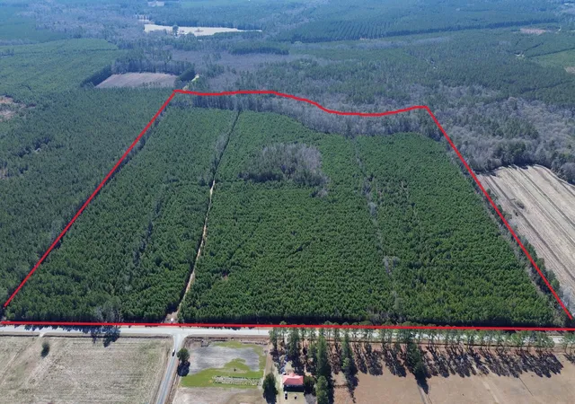 Land for sale at 0 Seaboard Rd, Andrews, SC 29510 | MLS# 26025564