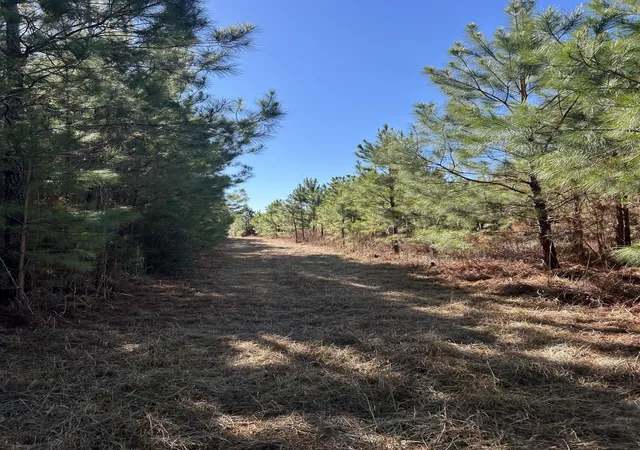 Photo 2 of Land for sale at 0 Seaboard Rd, Andrews, SC 29510 | MLS# 26025564 | Listing updated on 2026-09-11