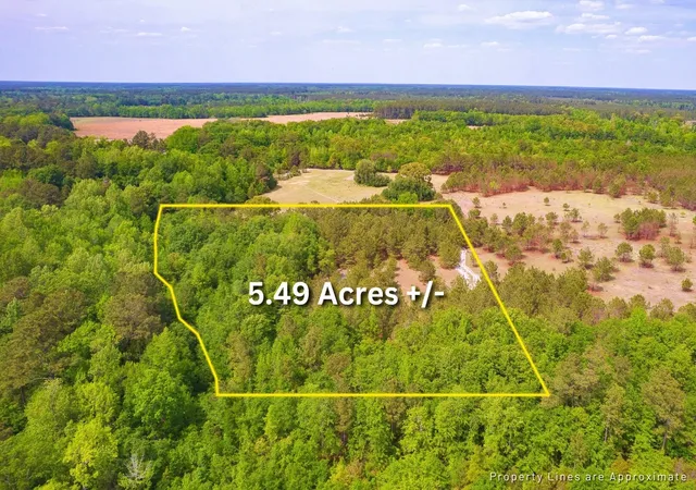 Photo 2 of Land for sale at 6 Pompey Rd, Manning, SC 29102 | MLS# 26027715 | Listing updated on 2026-10-07