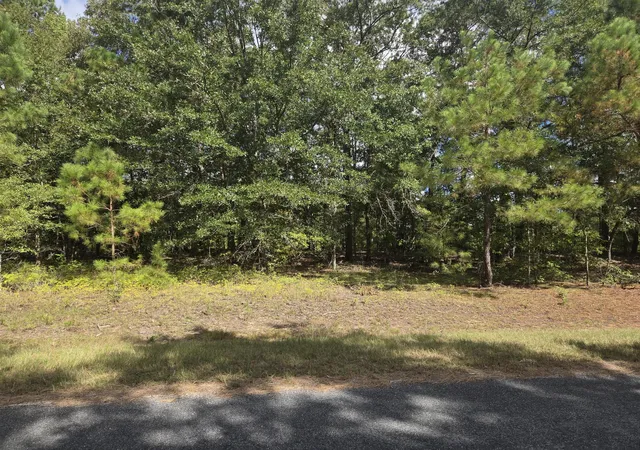 Photo 1 of Land for sale at 0 Prospect St, Bowman, SC 29018 | MLS# 26025077 | Listing updated on 2026-09-04