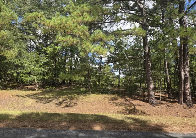 Photo 3 of Land for sale at 0 Prospect St, Bowman, SC 29018 | MLS# 26025077 | Listing updated on 2026-09-04