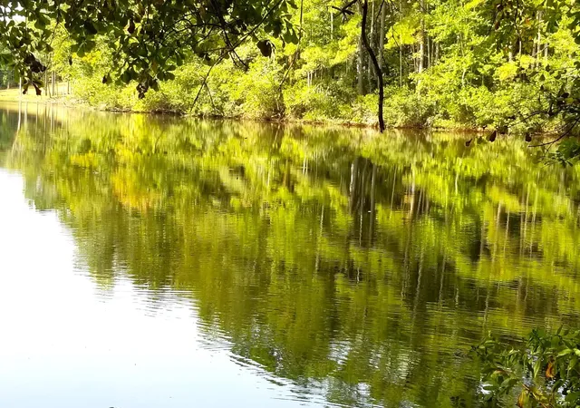 Photo 2 of Land for sale at #6 Row Boat Ln, Elloree, SC 29047 | MLS# 26026005 | Listing updated on 2026-09-17