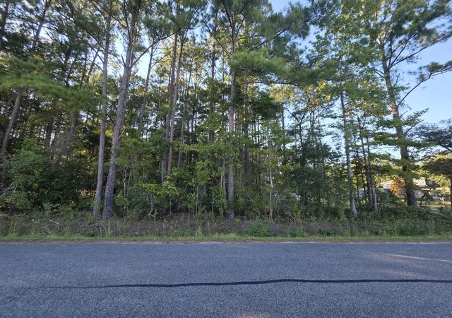 Land for sale at 0 Buck Dr, Georgetown, SC 29440 | MLS# 26027071