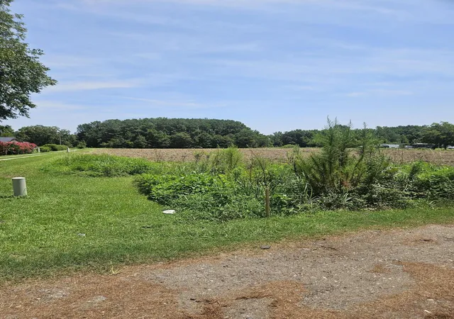 Photo 1 of Land for sale at 0 Wolfman Ln, Saint Stephen, SC 29479 | MLS# 26023318 | Listing updated on 2026-09-11