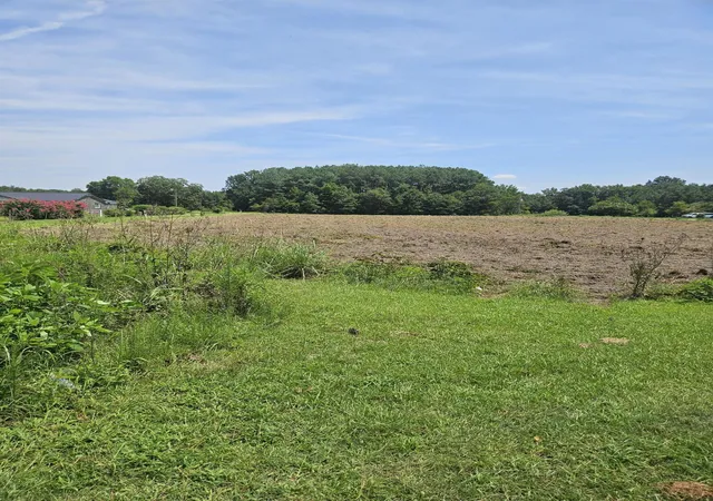 Photo 3 of Land for sale at 0 Wolfman Ln, Saint Stephen, SC 29479 | MLS# 26023318 | Listing updated on 2026-09-11