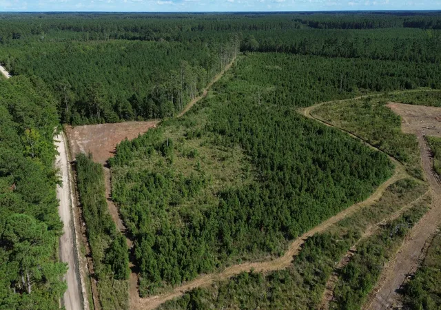 Photo 1 of Land for sale at 3 Bethel Forest Rd, Rowesville, SC 29133 | MLS# 26024714 | Listing updated on 2026-09-23