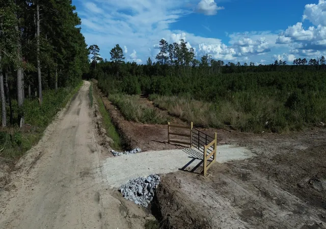 Photo 2 of Land for sale at 3 Bethel Forest Rd, Rowesville, SC 29133 | MLS# 26024714 | Listing updated on 2026-09-23
