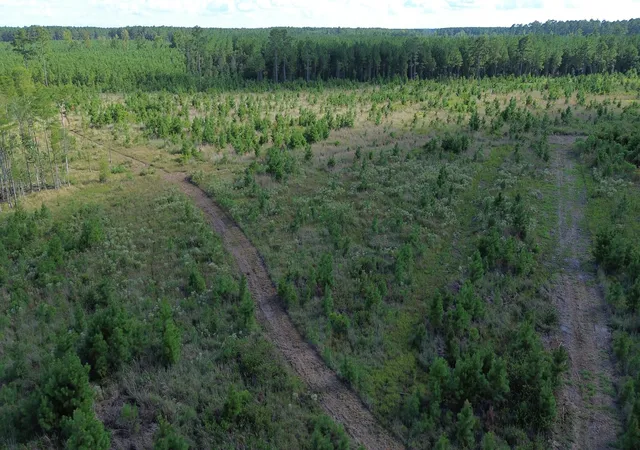 Photo 33 of Land for sale at 3 Bethel Forest Rd, Rowesville, SC 29133 | MLS# 26024714 | Listing updated on 2026-09-23