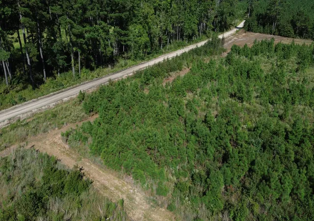 Photo 3 of Land for sale at 3 Bethel Forest Rd, Rowesville, SC 29133 | MLS# 26024714 | Listing updated on 2026-09-23