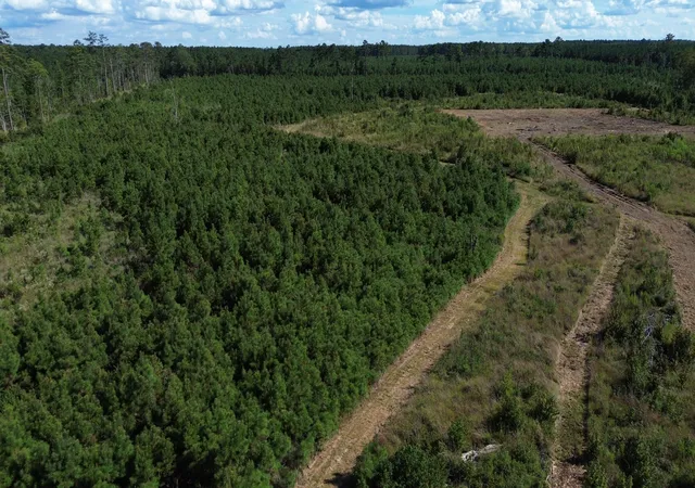 Photo 4 of Land for sale at 3 Bethel Forest Rd, Rowesville, SC 29133 | MLS# 26024714 | Listing updated on 2026-09-23