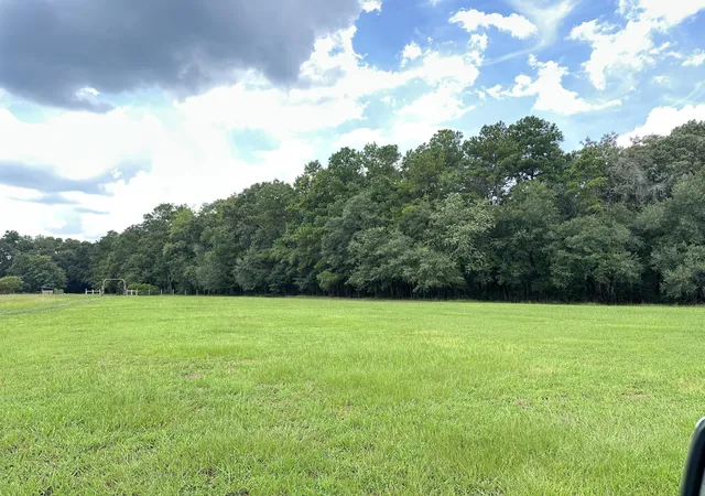 Land for sale at 371 Austin Swamp Ln, Ridgeville, SC 29472 | MLS# 26025628