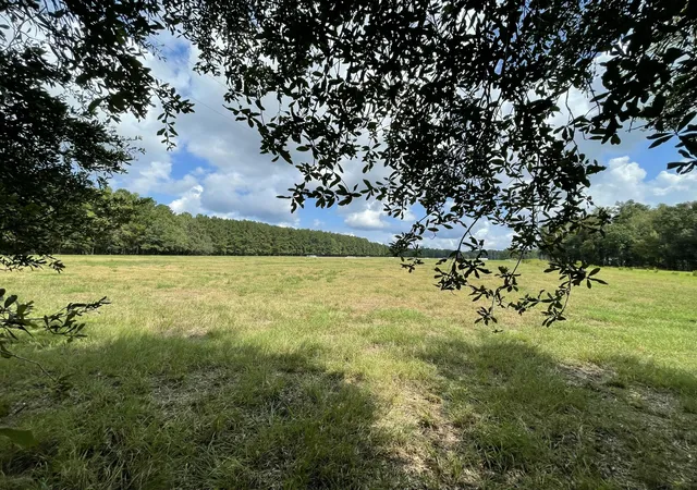 Photo 3 of Land for sale at 371 Austin Swamp Ln, Ridgeville, SC 29472 | MLS# 26025628 | Listing updated on 2026-09-17