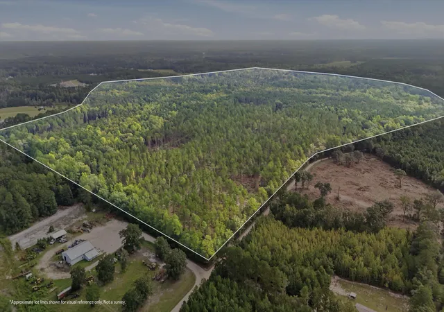 Photo 2 of Land for sale at 0 Barracada, Walterboro, SC 29488 | MLS# 26025618 | Listing updated on 2026-09-14