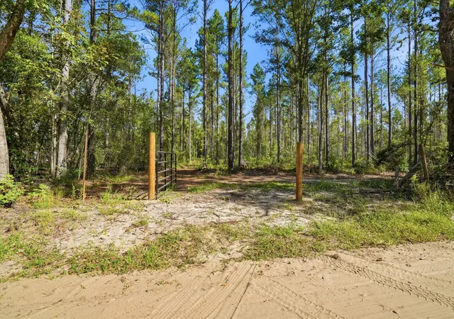 Photo 3 of Land for sale at 0 Barracada, Walterboro, SC 29488 | MLS# 26025618 | Listing updated on 2026-09-14