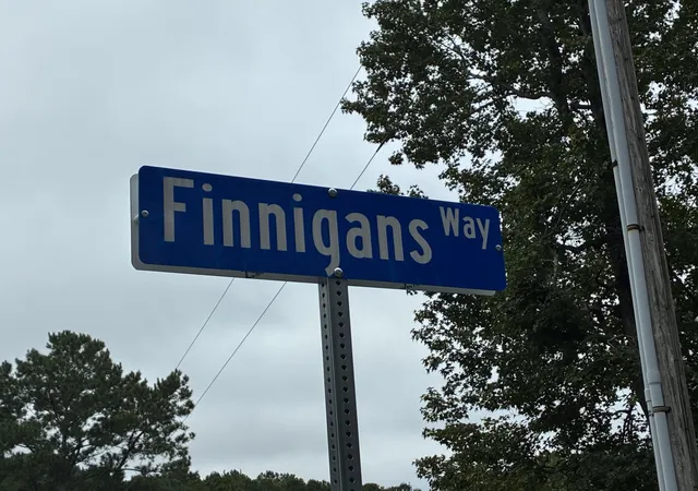Photo 3 of Land for sale at 1044 Finnigans Way, Awendaw, SC 29429 | MLS# 26026477 | Listing updated on 2026-09-30