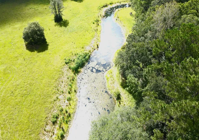 Photo 3 of Land for sale at 4503 Chisolm Rd #B, Johns Island, SC 29455 | MLS# 26024636 | Listing updated on 2026-09-01