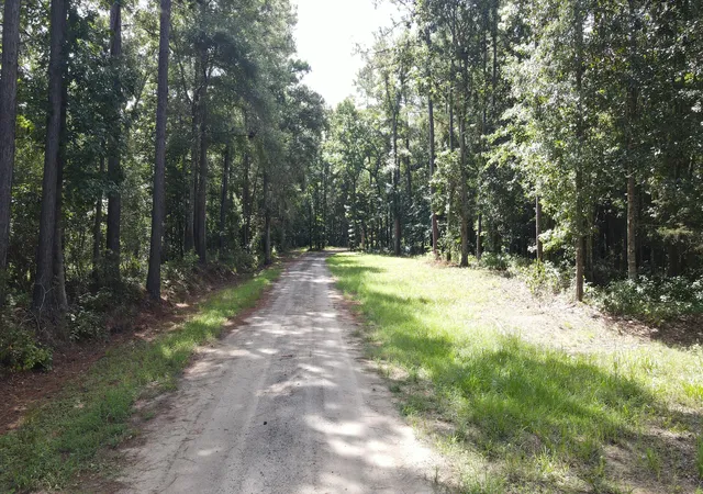 Photo 3 of Land for sale at 4503 Chisolm Rd #B, Johns Island, SC 29455 | MLS# 26024636 | Listing updated on 2026-09-01
