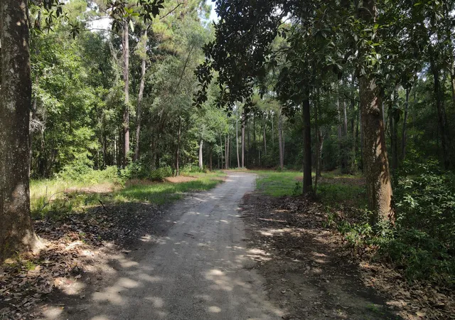 Photo 4 of Land for sale at 4503 Chisolm Rd #B, Johns Island, SC 29455 | MLS# 26024636 | Listing updated on 2026-09-01
