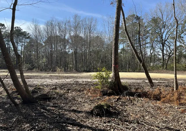 Photo 2 of Land for sale at (Undisclosed), Huger, SC 29450 | MLS# 26026618 | Listing updated on 2026-10-20