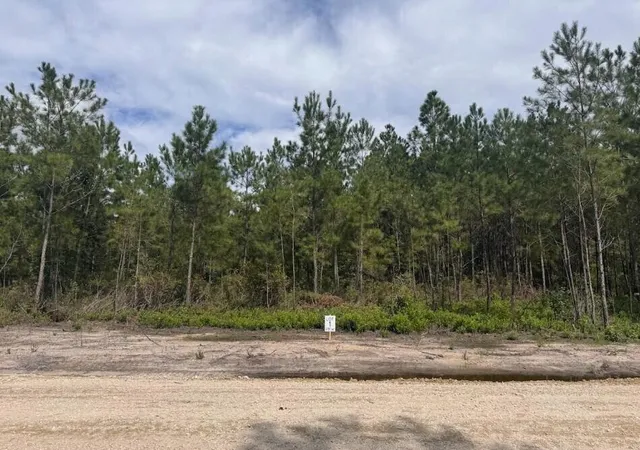 Photo 1 of Land for sale at 0 Walker Rd #Lot 1, Ridgeville, SC 29472 | MLS# 26025005 | Listing updated on 2026-09-22