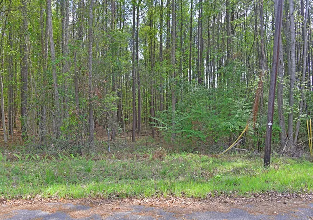 Photo 1 of Land for sale at 0 Ridgelake(lot 29) Cir, Saint Matthews, SC 29135 | MLS# 26027532 | Listing updated on 2026-10-04