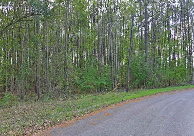 Photo 2 of Land for sale at 0 Ridgelake(lot 29) Cir, Saint Matthews, SC 29135 | MLS# 26027532 | Listing updated on 2026-10-04