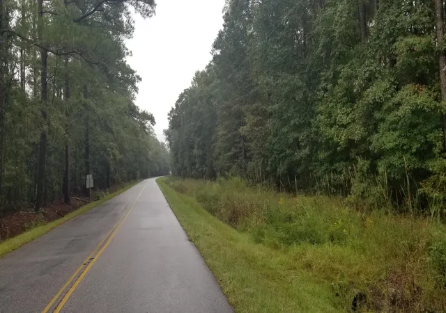 Photo 1 of Sale Pending at 000 St Peters, Walterboro, SC 29488 | MLS# 26027788 | Listing updated on 2026-10-09