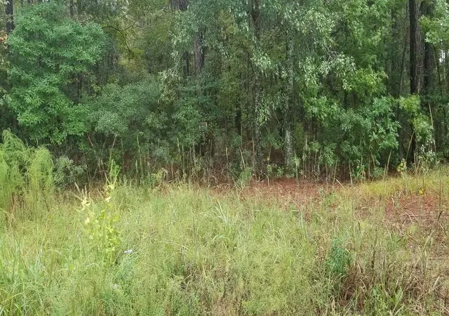 Photo 2 of Sale Pending at 000 St Peters, Walterboro, SC 29488 | MLS# 26027788 | Listing updated on 2026-10-09