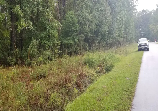 Photo 3 of Sale Pending at 000 St Peters, Walterboro, SC 29488 | MLS# 26027788 | Listing updated on 2026-10-09