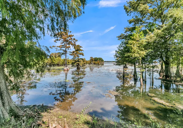 Photo 4 of Single family home for sale at 1232 Longpoint Rd, Cross, SC 29436 | MLS# 26024961 | Listing updated on 2026-09-16