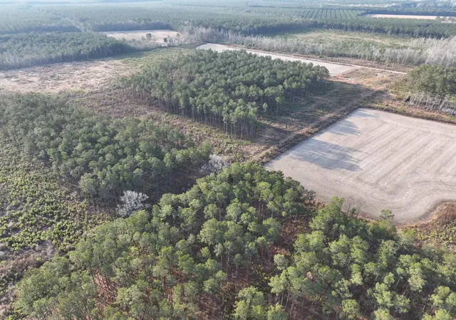 Land for sale at Tbd Eddie Ct, Gresham, SC 29546 | MLS# 26027626