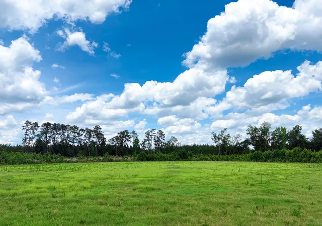 Photo 3 of Land for sale at Tbd Eddie Ct, Gresham, SC 29546 | MLS# 26027626 | Listing updated on 2026-10-06