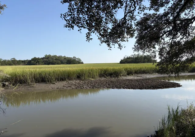 Photo 2 of Land for sale at 0 Intracoastal Waterway, Mc Clellanville, SC 29458 | MLS# 26025814 | Listing updated on 2026-09-15