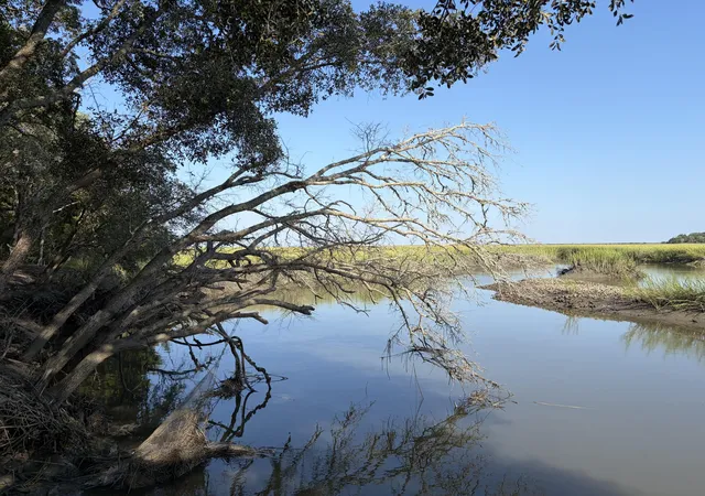 Photo 3 of Land for sale at 0 Intracoastal Waterway, Mc Clellanville, SC 29458 | MLS# 26025814 | Listing updated on 2026-09-15