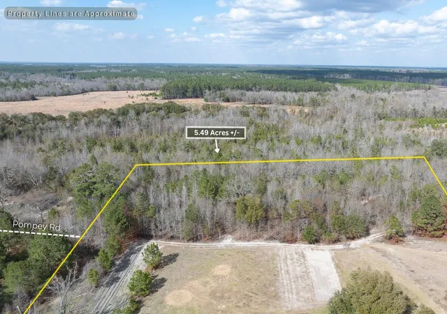 Photo 4 of Land for sale at 2 Pompey Rd, Manning, SC 29102 | MLS# 26025073 | Listing updated on 2026-10-02