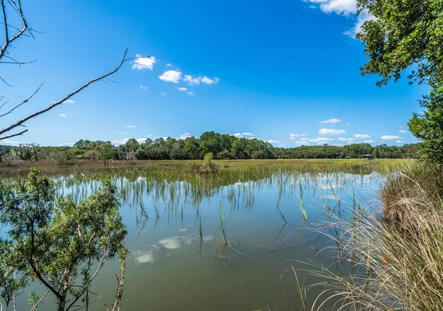 Photo 1 of Land for sale at (Undisclosed), Wadmalaw Island, SC 29487 | MLS# 26026513 | Listing updated on 2026-09-24