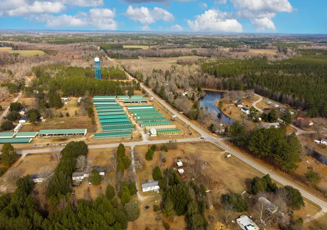 Photo 3 of Land for sale at 7878 Raccoon Rd, Manning, SC 29102 | MLS# 26002310 | Listing updated on 2026-10-05