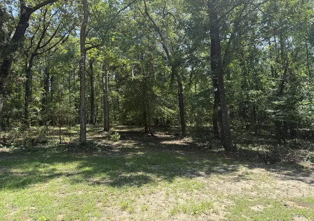 Photo 2 of Sale Pending at 264 Michelle St, Eutawville, SC 29048 | MLS# 26024896 | Listing updated on 2026-09-11