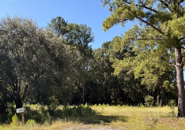 Photo 2 of Land for sale at 308 Piney Grv Rd, Cross, SC 29436 | MLS# 26026976 | Listing updated on 2026-10-14
