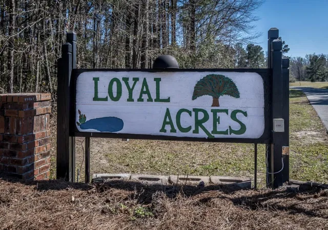 Photo 3 of Land for sale at 308 Piney Grv Rd, Cross, SC 29436 | MLS# 26026976 | Listing updated on 2026-10-14