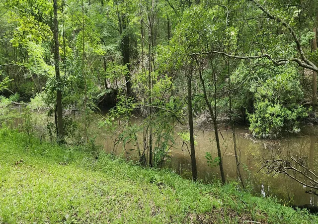 Photo 1 of Land for sale at 113 Hampton Dr, Summerville, SC 29485 | MLS# 26027362 | Listing updated on 2026-10-02