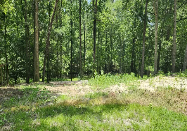 Photo 2 of Land for sale at 113 Hampton Dr, Summerville, SC 29485 | MLS# 26027362 | Listing updated on 2026-10-02