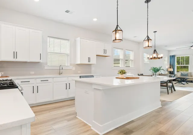 Photo 4 of Single family home for sale at 150 Helena Park Dr, Summerville, SC 29486 | MLS# 26028084 | Listing updated on 2026-10-11