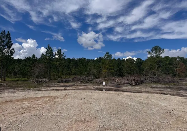 Photo 1 of Land for sale at Lot 5 Walker Rd, Ridgeville, SC 29472 | MLS# 26025060 | Listing updated on 2026-09-22
