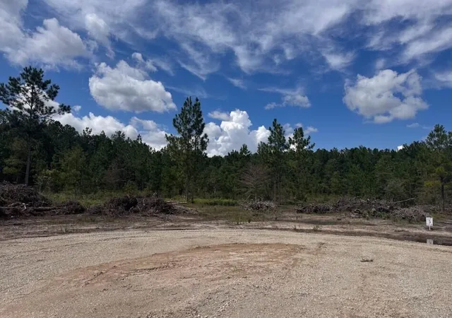 Photo 3 of Land for sale at Lot 5 Walker Rd, Ridgeville, SC 29472 | MLS# 26025060 | Listing updated on 2026-09-22