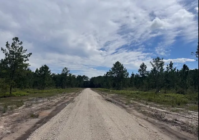 Photo 3 of Land for sale at Lot 5 Walker Rd, Ridgeville, SC 29472 | MLS# 26025060 | Listing updated on 2026-09-22