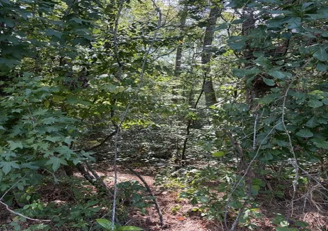 Photo 2 of Land for sale at 0 Alexander Cir, Summerville, SC 29486 | MLS# 26024913 | Listing updated on 2026-09-03