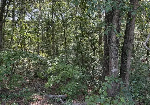 Photo 3 of Land for sale at 0 Alexander Cir, Summerville, SC 29486 | MLS# 26024913 | Listing updated on 2026-09-03