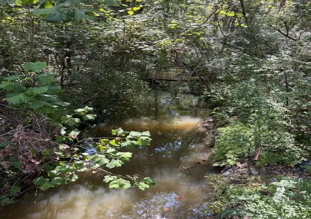Photo 4 of Land for sale at 0 Alexander Cir, Summerville, SC 29486 | MLS# 26024913 | Listing updated on 2026-09-03